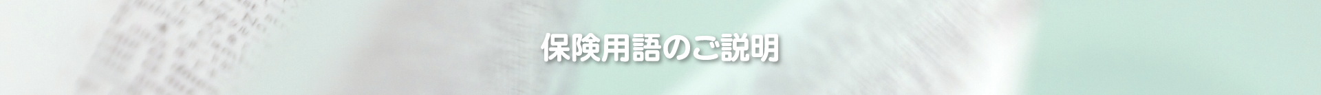 保険用語のご説明