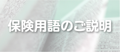 保険用語のご説明