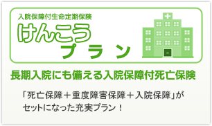 けんこうプラン 入院保障付生命定期保険