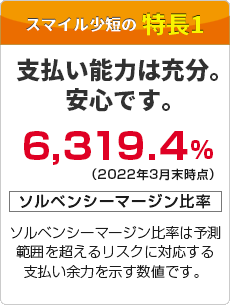 支払い能力は充分。安心です。3,604%