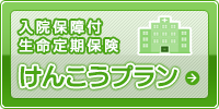 けんこうプラン 入院付生命定期保険