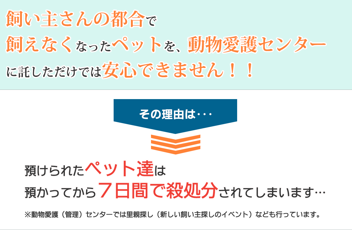 飼い主さんの都合で飼えなくなったペットを、動物愛護センターに託しただけでは安心できません！！