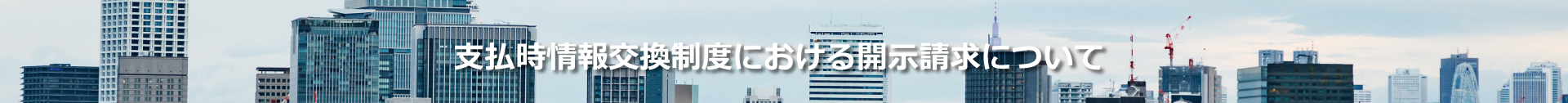 本制度における開示請求について