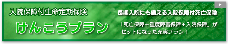 けんこうプラン（入院保障付生命定期保険）