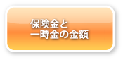 保険料と一時金の金額