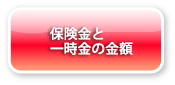 保険料と一時金の金額