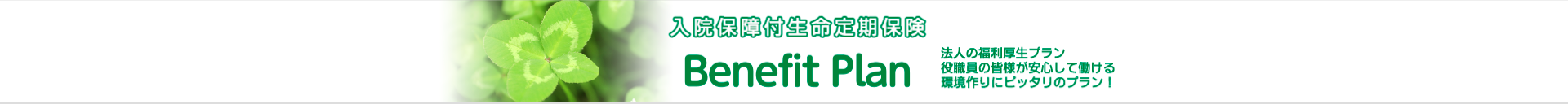 入院付生命定期保険　Benefit Plan