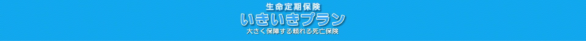 生命定期保険　いきいきプラン