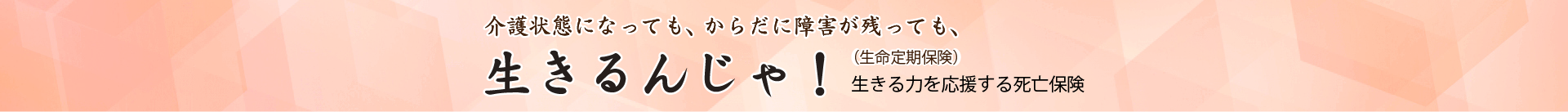 介護状態になっても、からだに障害が残っても、生きるんじゃ！生命定期保険