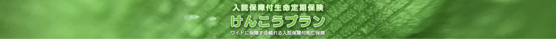 入院付生命定期保険　けんこうプラン