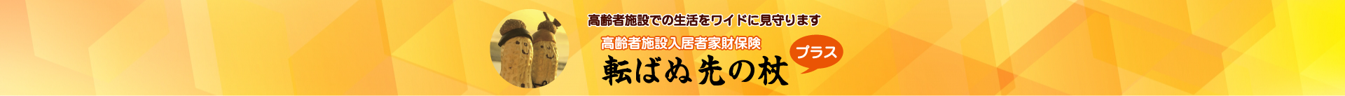 高齢者施設入居者家財保険