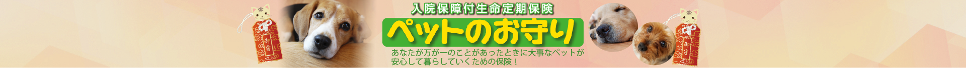 入院保障付生命定期保険　ペットのお守り