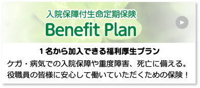 Benefit Plan