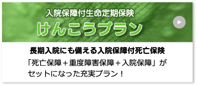 けんこうプラン（入院保障付生命定期保険）