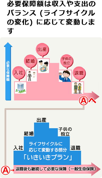 定期保険の合うスタイル　いきいきプランをおすすめします