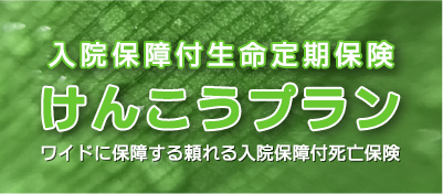 入院付生命定期保険　けんこうプラン